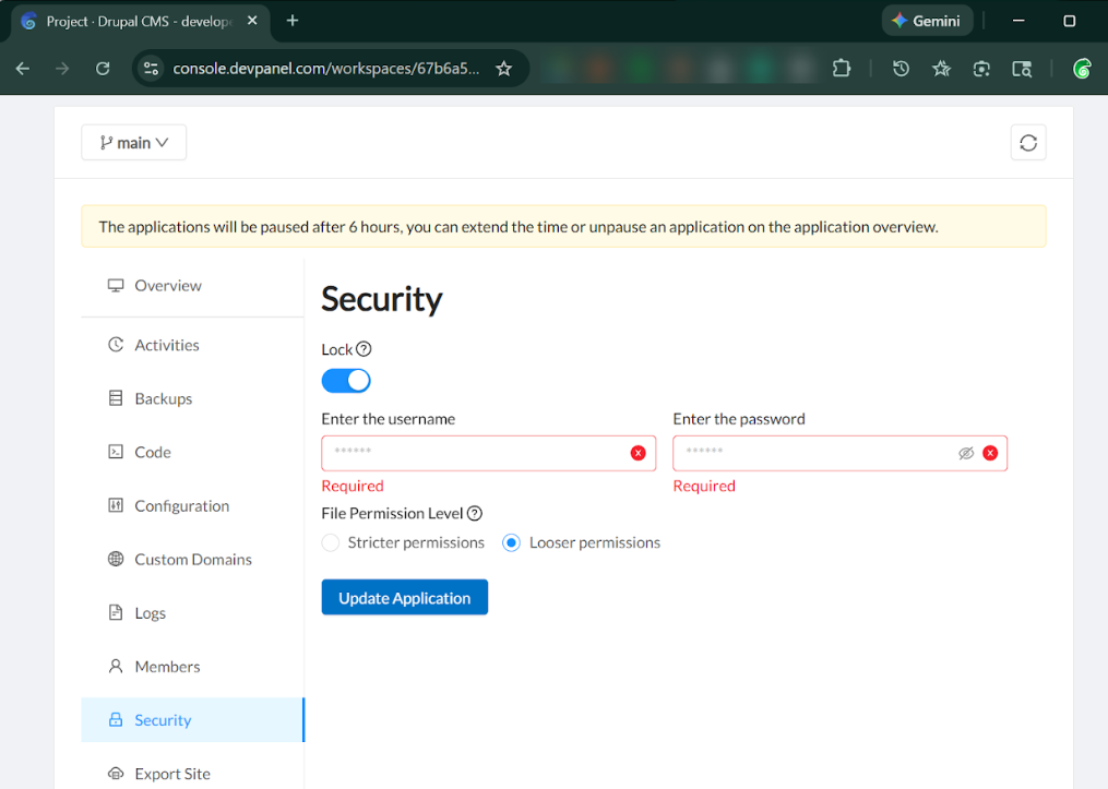 DevPanel security settings dashboard for a cloud IDE, showing application-level access locks, password protection configuration, and file permission level controls.